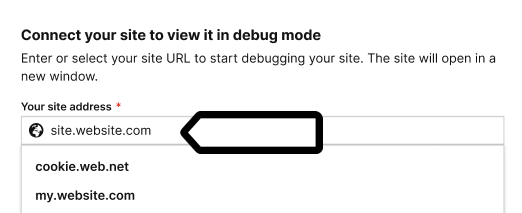 connect site to Piwik PRO Tag Manger debug mode